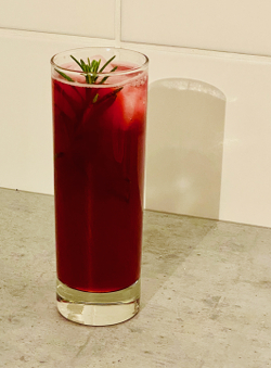 Cranberry Gin and Tonic