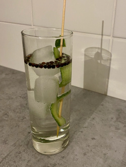 Cucumber Gin and Tonic