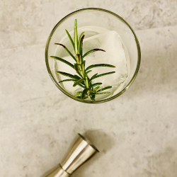 Lemon Rosemary Gin and Tonic