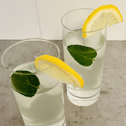 Mint Gin and Tonic