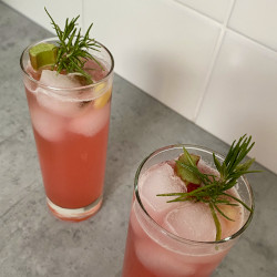 Rhubarb Gin Fizz